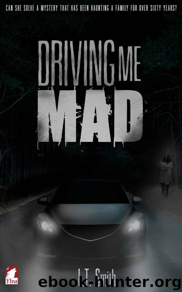Driving Me Mad by L.T. Smith