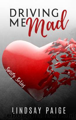 Driving Me Mad by Lindsay Paige