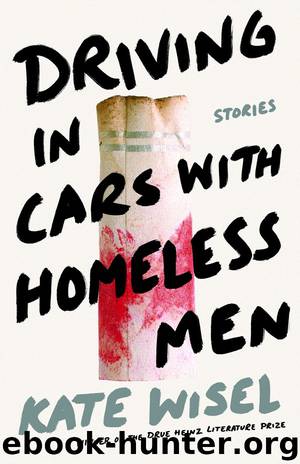 Driving in Cars With Homeless Men: Stories by Kate Wisel