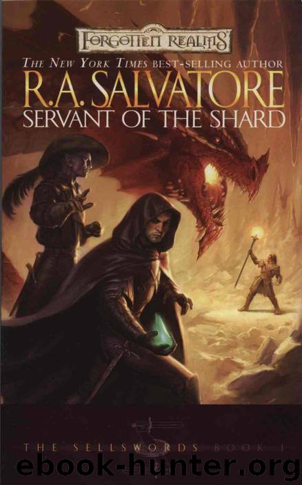 Drizzt - 13 - Servant of the Shard by R.A. Salvatore