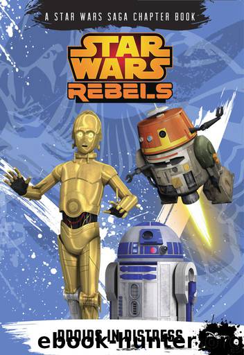 Droids in Distress by Michael Kogge