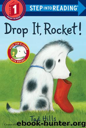Drop It, Rocket! by Tad Hills
