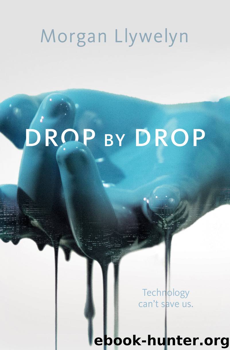 Drop by Drop by Morgan Llywelyn