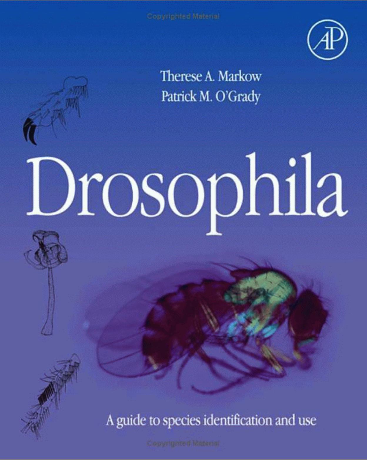 Drosophila: A Guide to Species Identification and Use by Therese A. Markow Patrick O'Grady