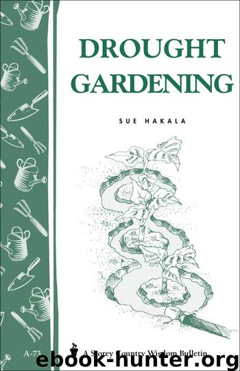 Drought Gardening by Sue Hakala
