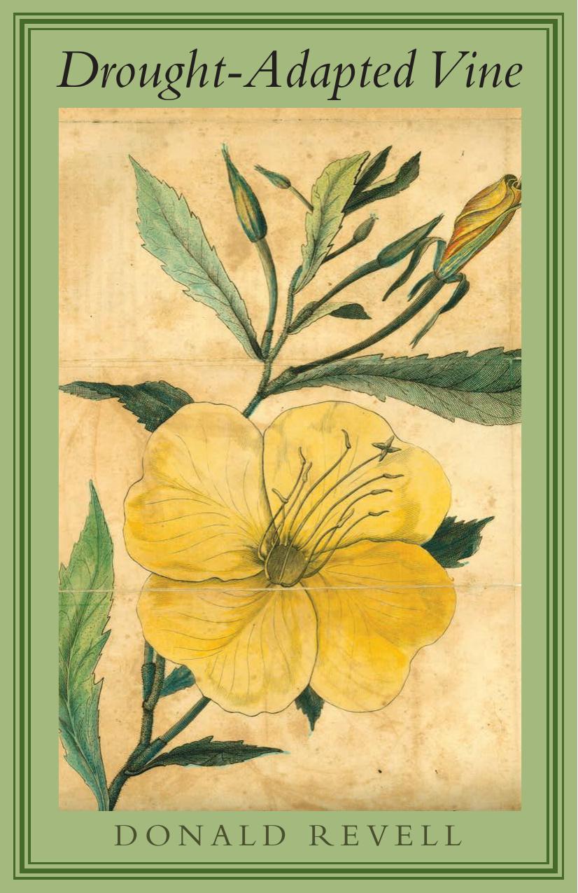 Drought-Adapted Vine by Revell Donald