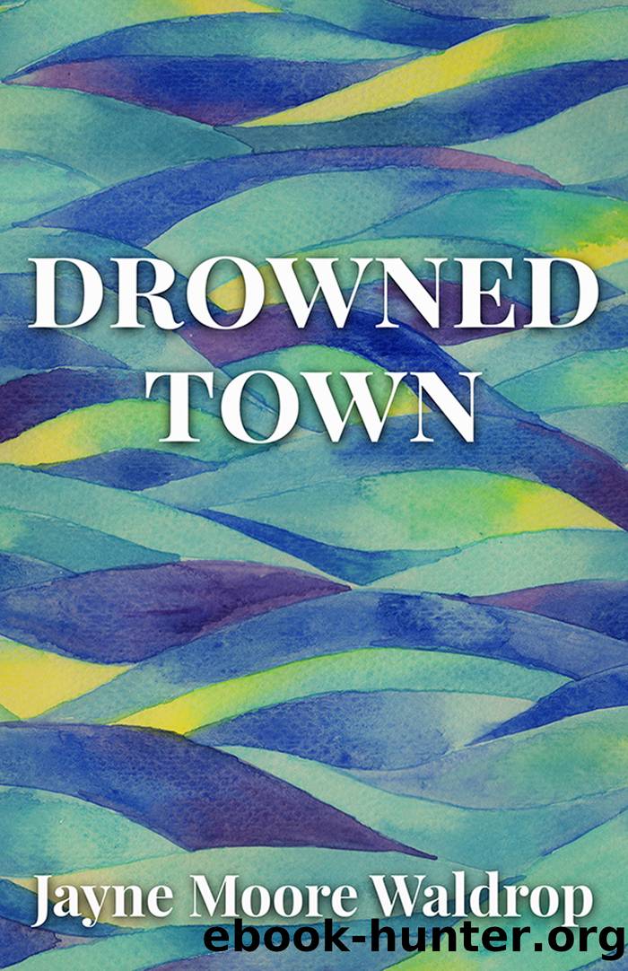 Drowned Town by Jayne Moore Waldrop