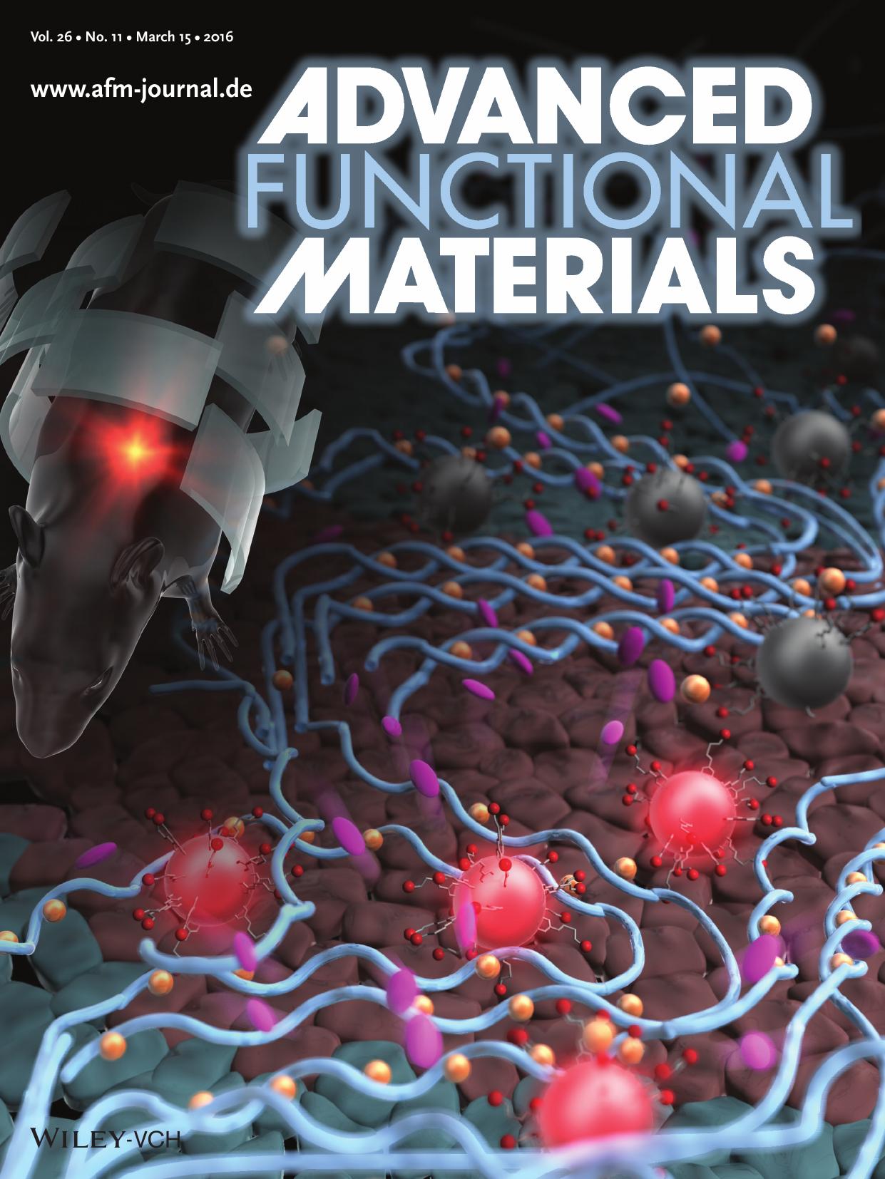 Drug Delivery: Smart Ferrofluid with Quick Gel Transformation in Tumors for MRI&#x02010;Guided Local Magnetic Thermochemotherapy (Adv. Funct. Mater. 11&#x0002F;2016) by Unknown