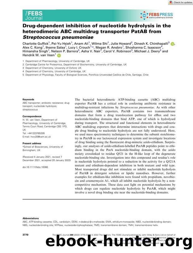 Drugâdependent inhibition of nucleotide hydrolysis in the heterodimeric ABC multidrug transporter PatAB from Streptococcus pneumoniae by Unknown