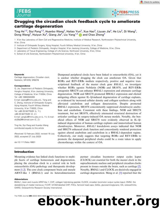 Drugging the circadian clock feedback cycle to ameliorate cartilage degeneration by Unknown