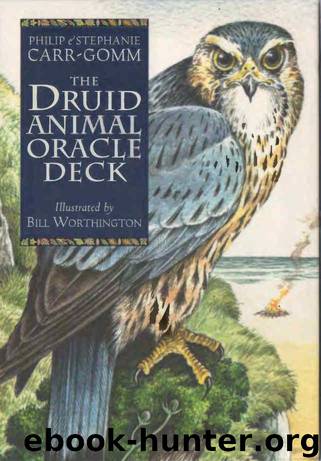 Druid Animal Oracle Deck by unknow