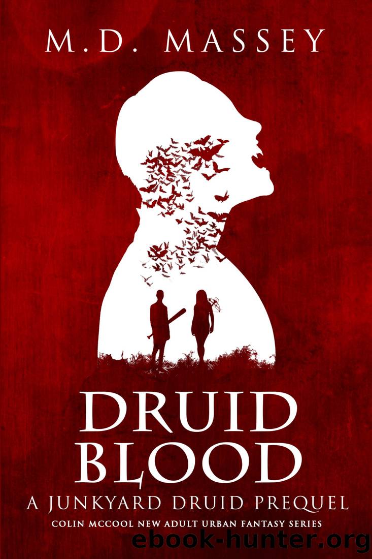 Druid Blood by M. D. Massey