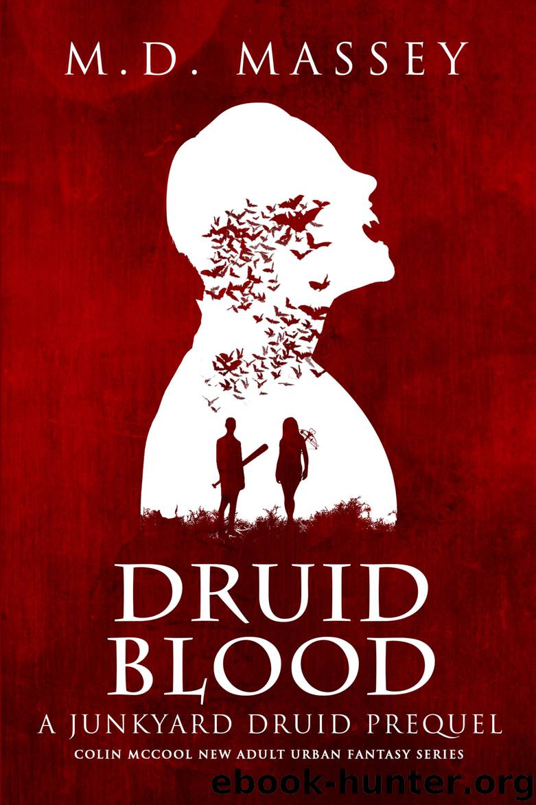 Druid Blood by M.D. Massey