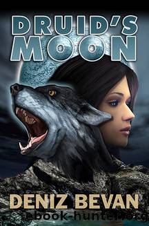 Druid's Moon by Deniz Bevan