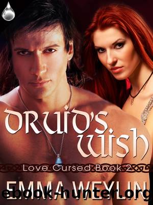 Druid's Wish by Emma Weylin