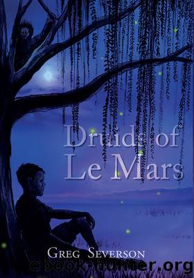 Druids of Le Mars by Greg Severson