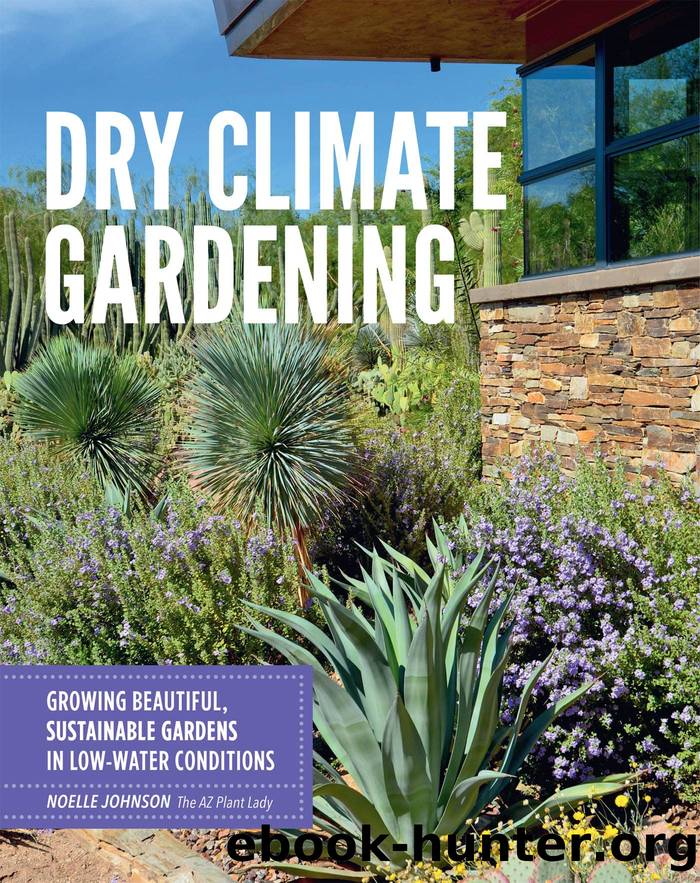 Dry Climate Gardening by Johnson Noelle;