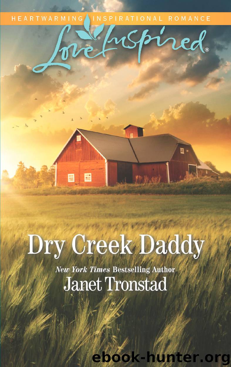 Dry Creek Daddy by Janet Tronstad