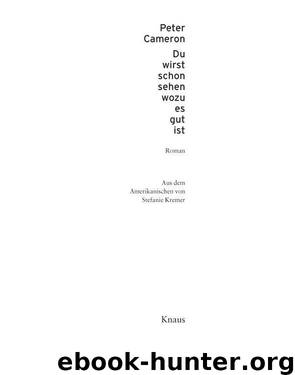 Du wirst schon noch sehen wozu es gut ist by Peter Cameron Stefanie Kremer