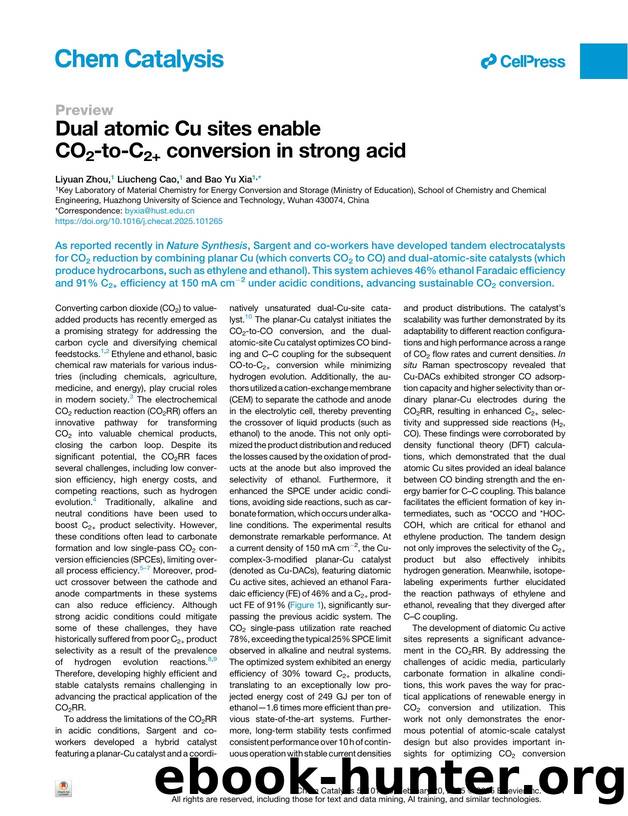 Dual atomic Cu sites enable CO2-to-C2+ conversion in strong acid by Liyuan Zhou