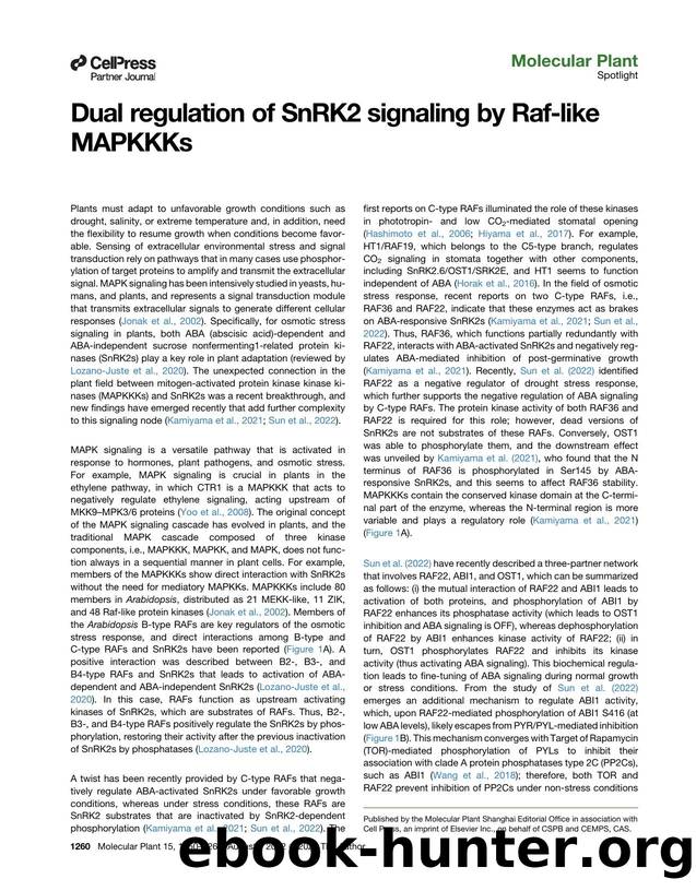 Dual regulation of SnRK2 signaling by Raf-like MAPKKKs by Gaston A. Pizzio & Pedro L. Rodriguez