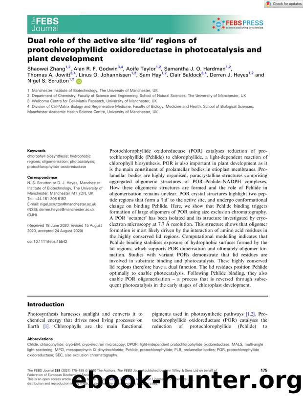 Dual role of the active site âlidâ regions of protochlorophyllide oxidoreductase in photocatalysis and plant development by Unknown