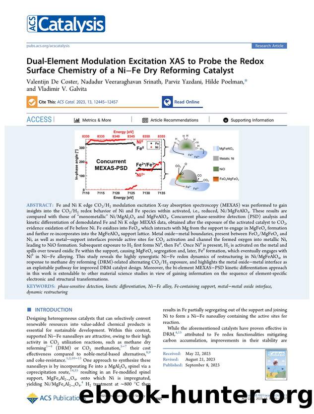Dual-Element Modulation Excitation XAS to Probe the Redox Surface Chemistry of a NiâFe Dry Reforming Catalyst by unknow