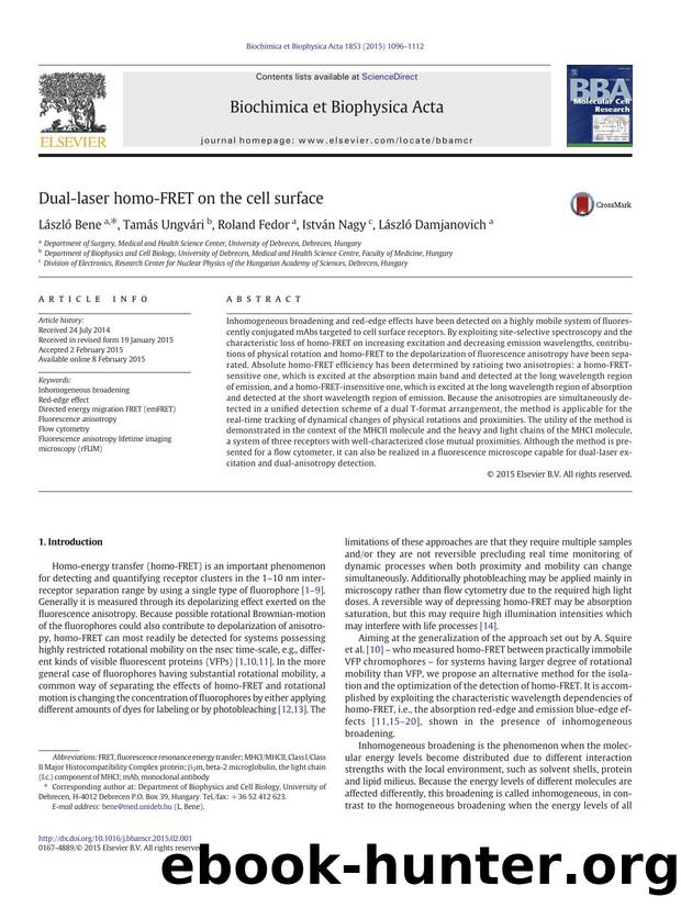Dual-laser homo-FRET on the cell surface by László Bene & Tamás Ungvári & Roland Fedor & István Nagy & László Damjanovich