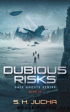 Dubious Risks by S. H. Jucha
