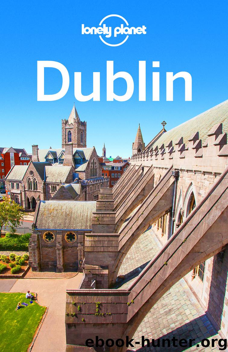 Dublin Travel Guide by Lonely Planet