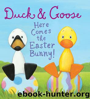 Duck & Goose, Here Comes the Easter Bunny! by Tad Hills