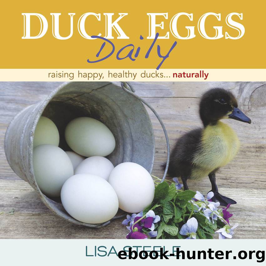Duck Eggs Daily by Lisa Steele