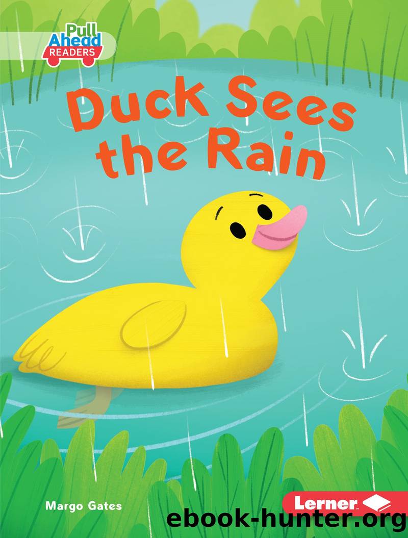 Duck Sees the Rain by Margo Gates