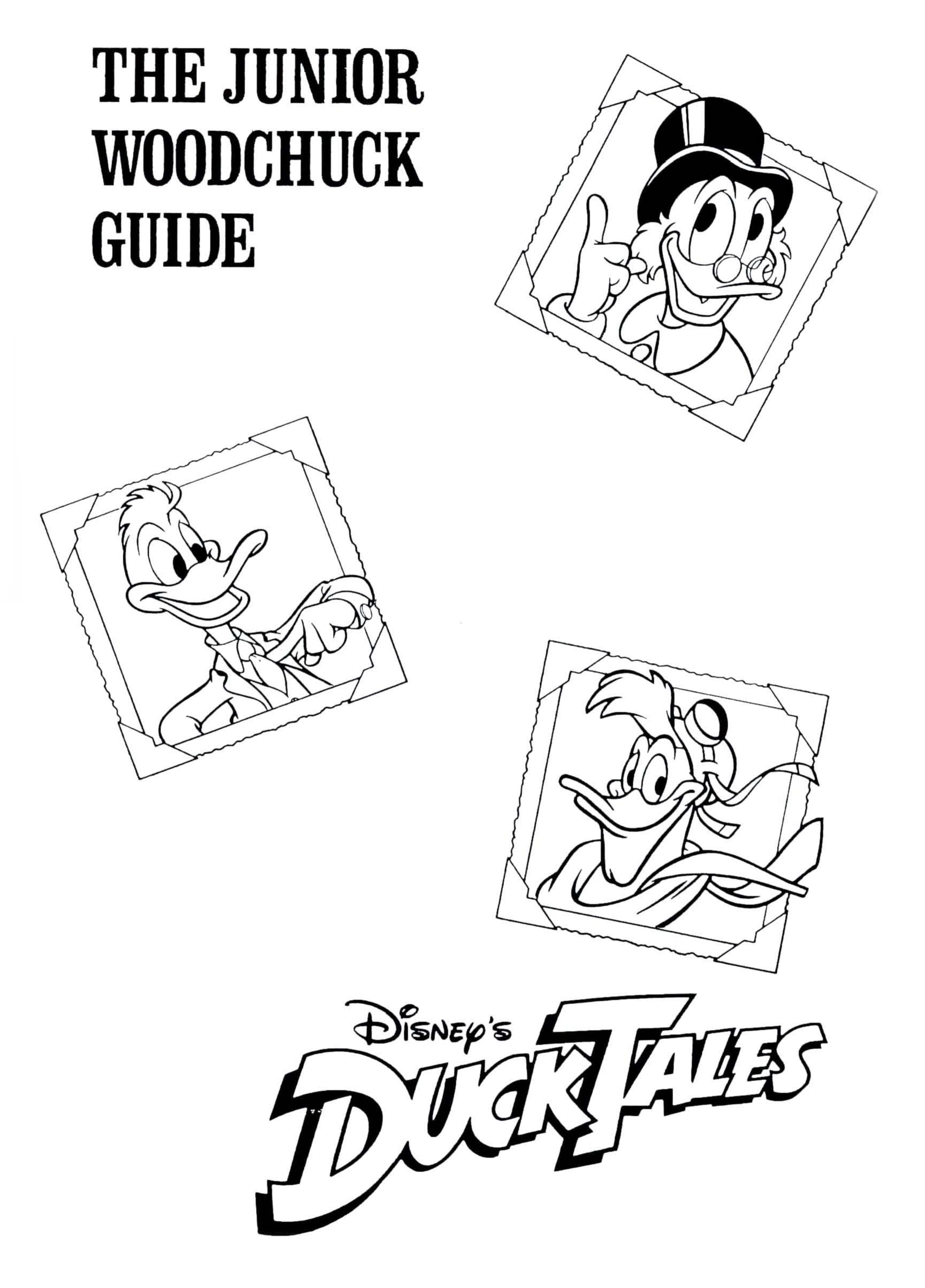 Duck Tales The Quest for Gold - Manual by Walt Disney Computer Software Inc./ Incredible Technologies Inc