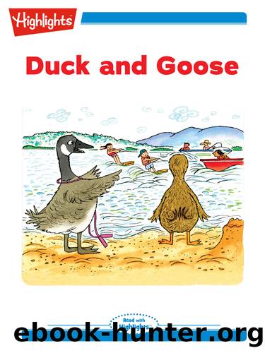 Duck and Goose by Larry Dane Brimner