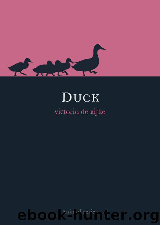 Duck by Victoria de Rijke