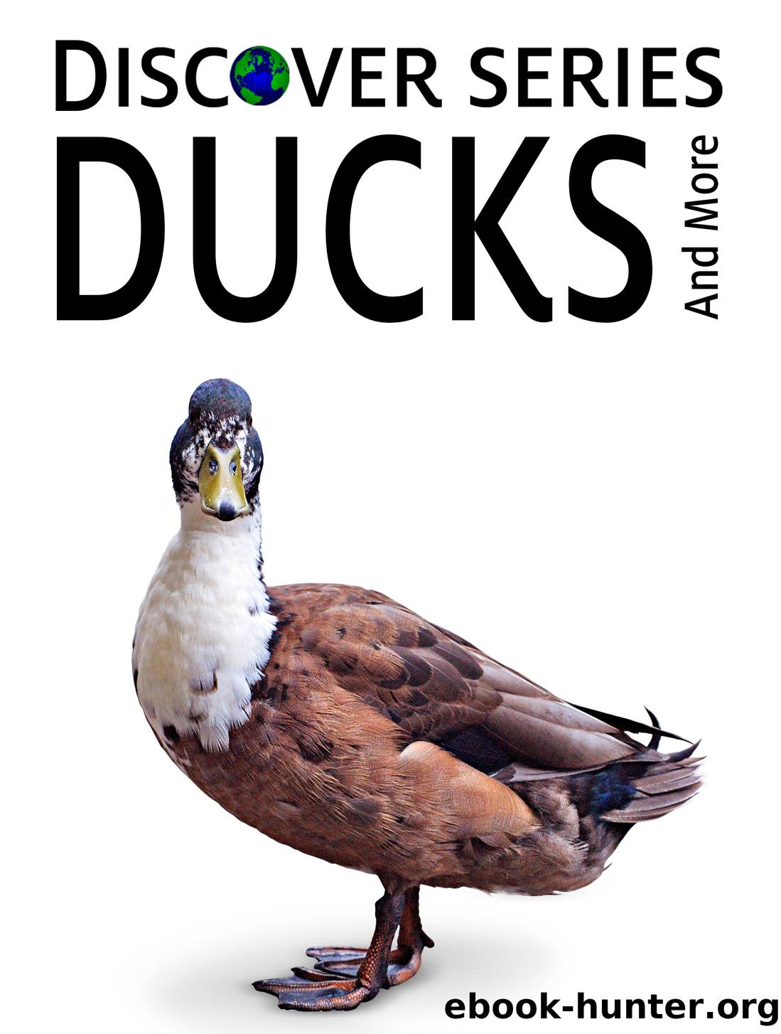 Ducks by Xist Publishing