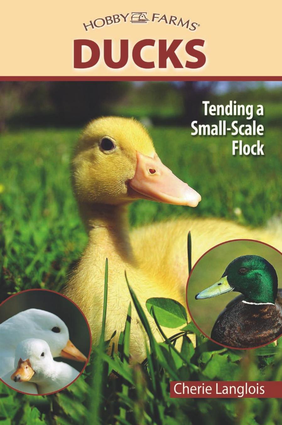 Ducks. Tending a Small-Scale Flock for Pleasure and Profit by Cherie Langlois