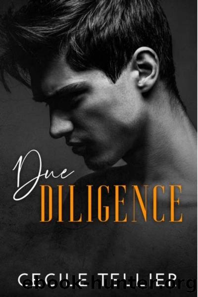 Due Diligence by Cecile Tellier