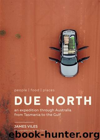 Due North by James Viles