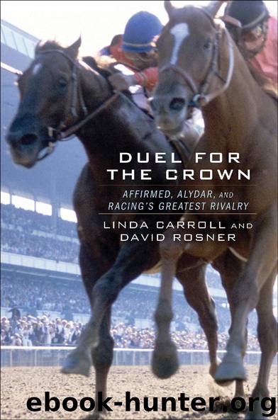 Duel for the Crown by Linda Carroll & David Rosner