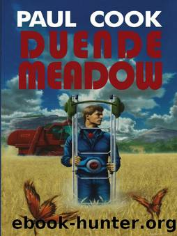 Duende Meadow by Paul Cook