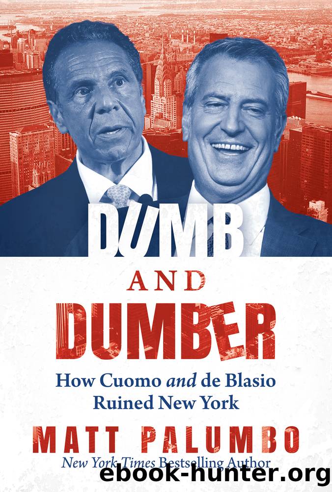 Dumb and Dumber by Matt Palumbo