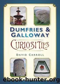 Dumfries & Galloway Curiosities by David Carroll