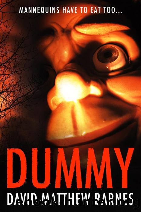 Dummy by David-Matthew Barnes