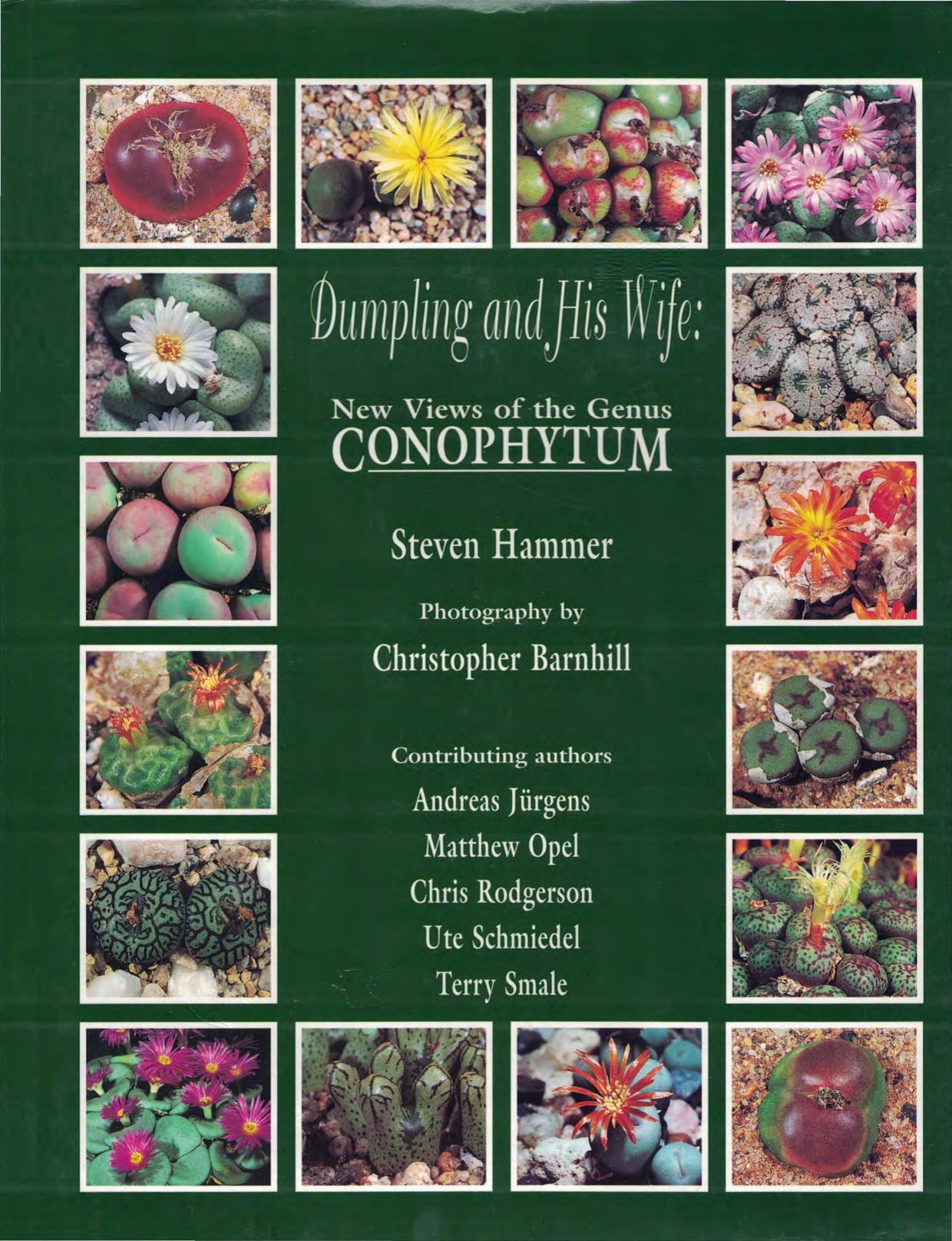 Dumpling and His Wife: New Views of the Genus Conophytum by Steven Hammer
