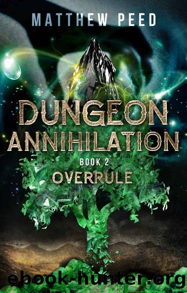 Dungeon Annihilation: Book 2: Overrule by Matthew Peed