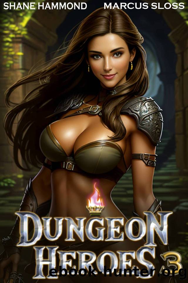 Dungeon Heroes 3: A LitRPG Progression Fantasy by Shane Hammond & Marcus Sloss