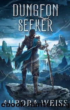 Dungeon Seeker: A Reborn Online LitRPG Adventure by Aurora Weiss