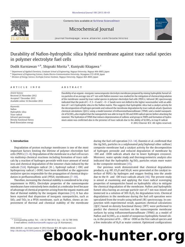 Durability of Nafion-hydrophilic silica hybrid membrane against trace radial species in polymer electrolyte fuel cells by Dodik Kurniawan & Shigeaki Morita & Kuniyuki Kitagawa